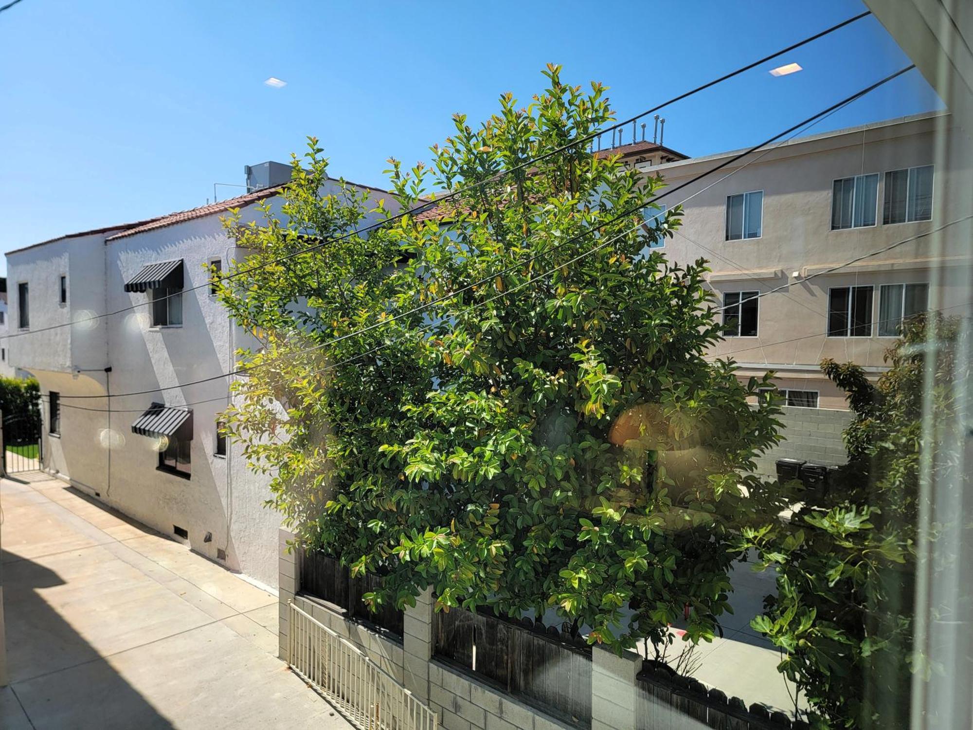 Newly Built Three Bedroom Close To Rodeo Drive Hollywood Downtown And Beaches Close To Attractions Los Angeles